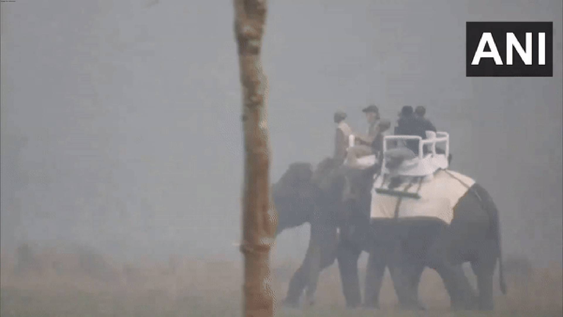 Assam: PM Modi takes elephant ride at Kaziranga National Park